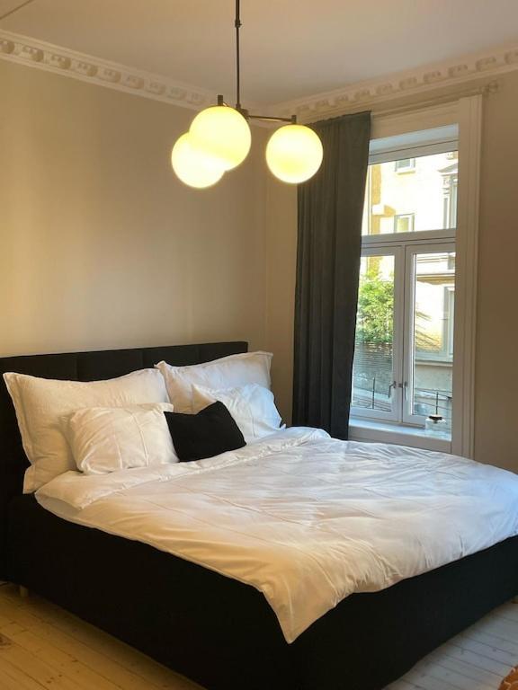 Lovely Central Apartment With Two Large Bedrooms Nearby Oslo Opera, Vis A Vis Botanical Garden Exteriér fotografie