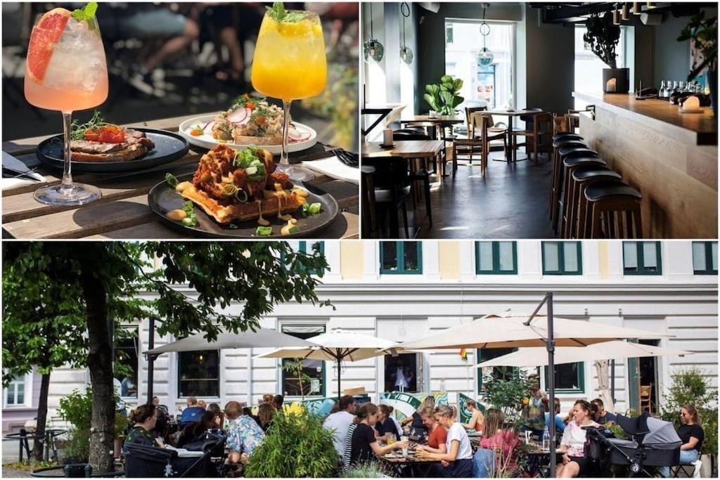 Lovely Central Apartment With Two Large Bedrooms Nearby Oslo Opera, Vis A Vis Botanical Garden Exteriér fotografie