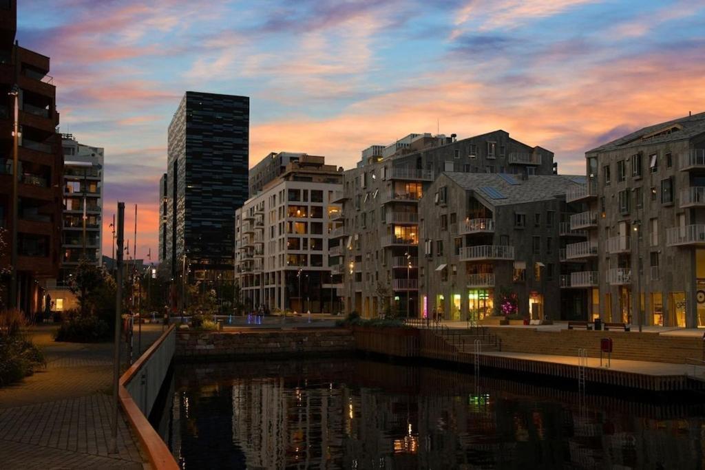 Lovely Central Apartment With Two Large Bedrooms Nearby Oslo Opera, Vis A Vis Botanical Garden Exteriér fotografie